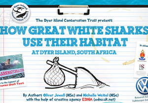 How Great White Sharks Use Their Habitat